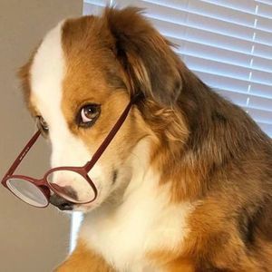 Meet your Posher, Tana